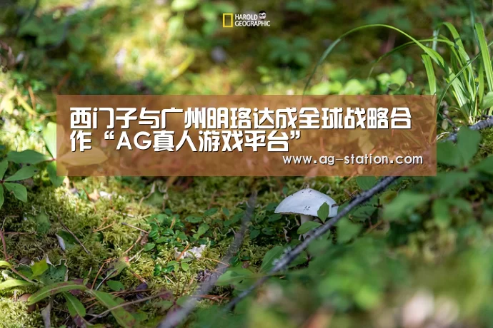 西门子与广州明珞达成全球战略合作“AG真人游戏平台”(图1) AG真人游戏平台
