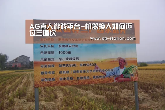 AG真人游戏平台-机器换人如何迈过三道坎(图2) AG真人登录